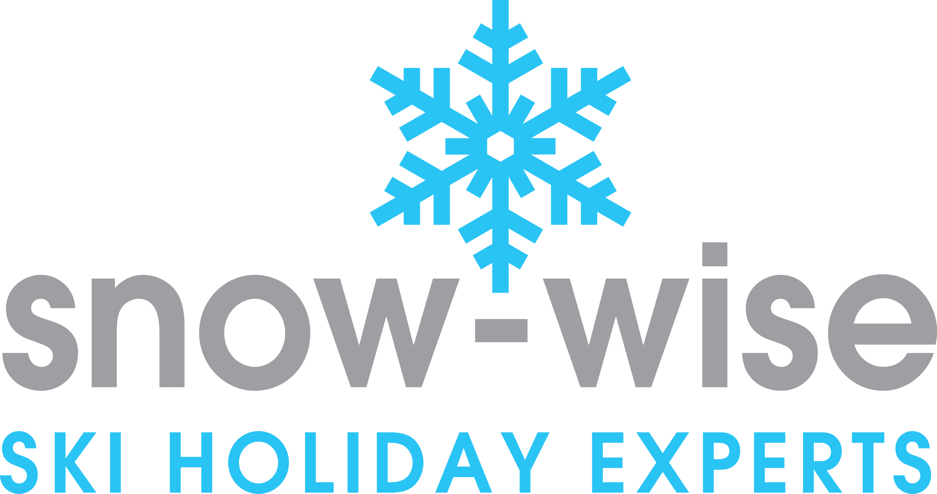 Snow Wise logo