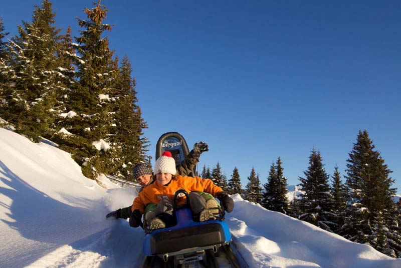 Tobogganing